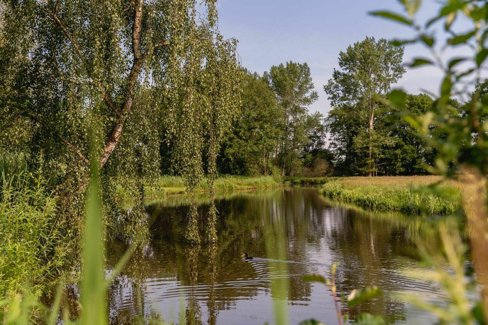 River Cabin met hottub in Zuna, Nederland voor 6 personen foto 21