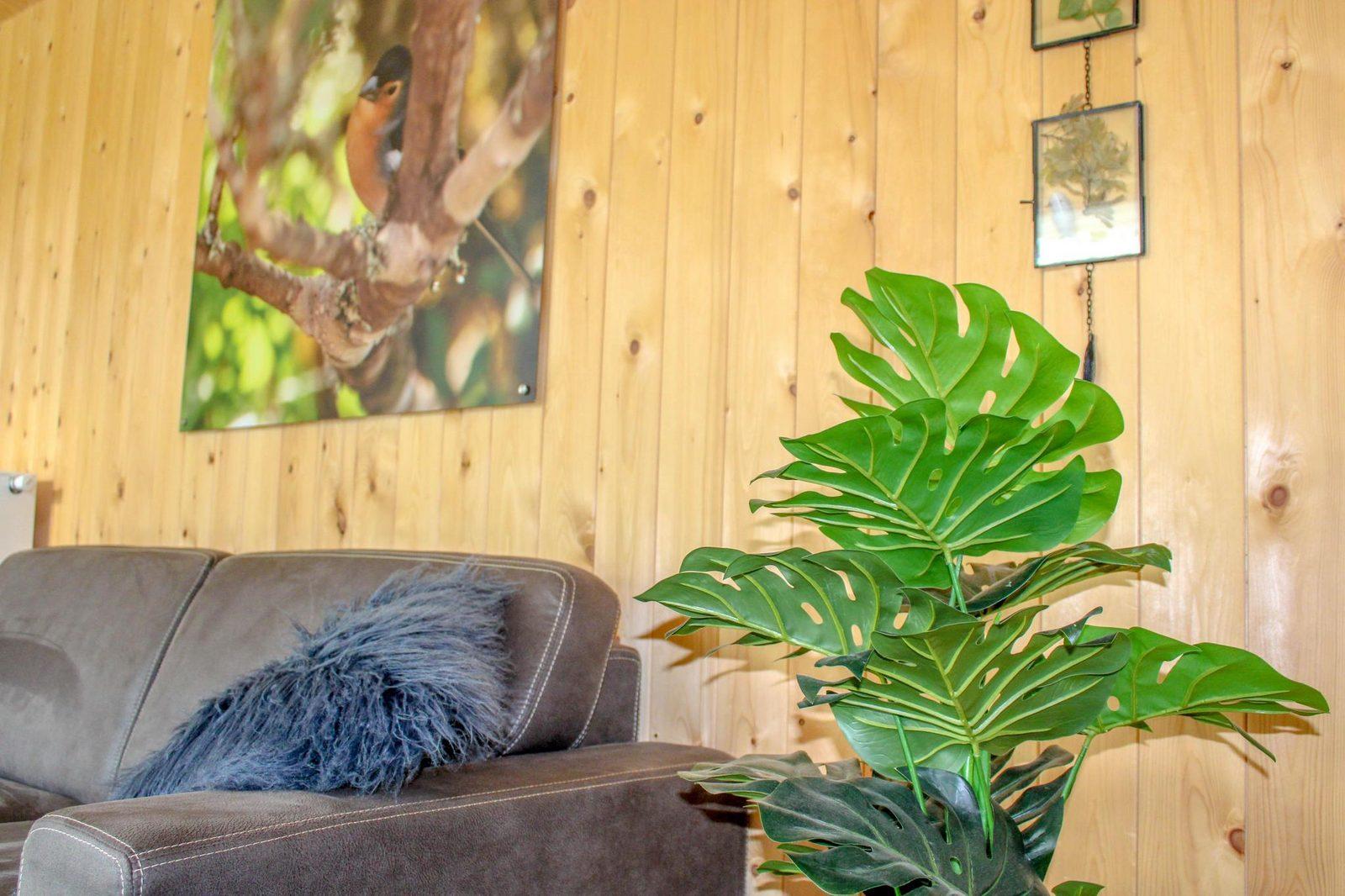 Vakantiewoning Heidehoeve comfort in Hoenderloo, Nederland voor 4 personen foto 22