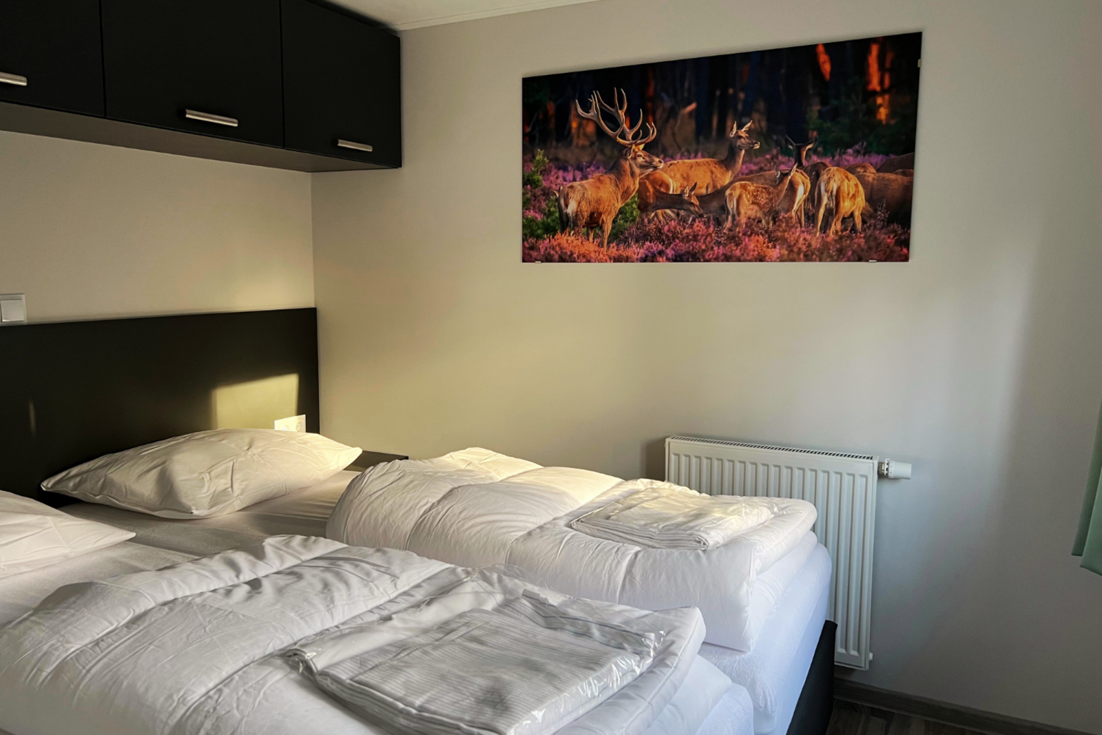 Tinyhouse comfort in Hoenderloo, Nederland voor 4 personen foto 8