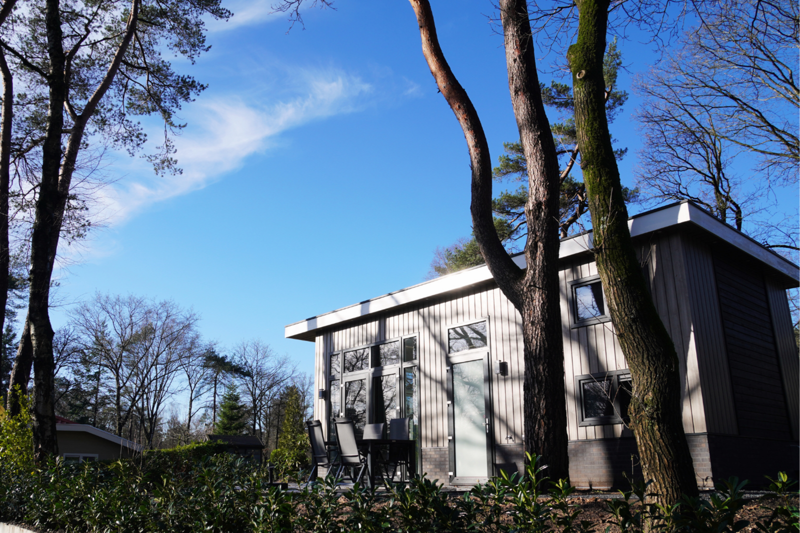 Tinyhouse comfort in Hoenderloo, Nederland voor 4 personen foto 4