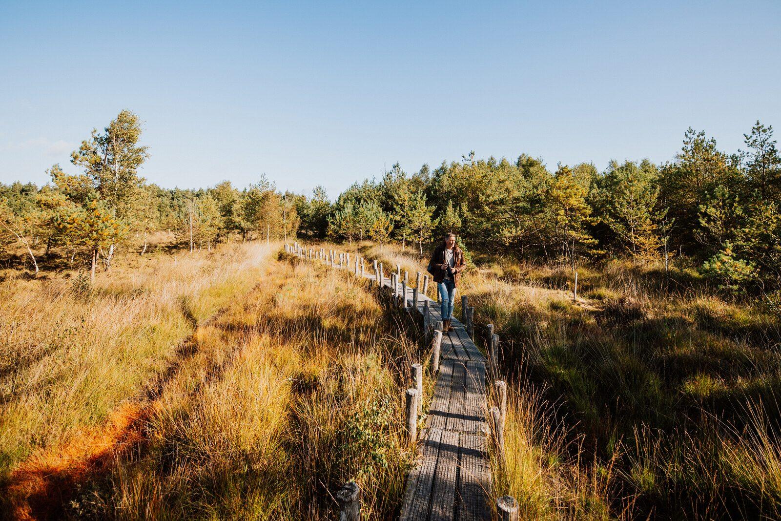 Groeneborg Lodge in Ruinen, Nederland voor 6 personen foto 19
