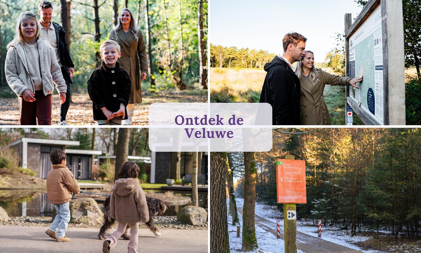Vakantiewoning Boslodge Comfort in Hoenderloo, Nederland voor 4 personen foto 21