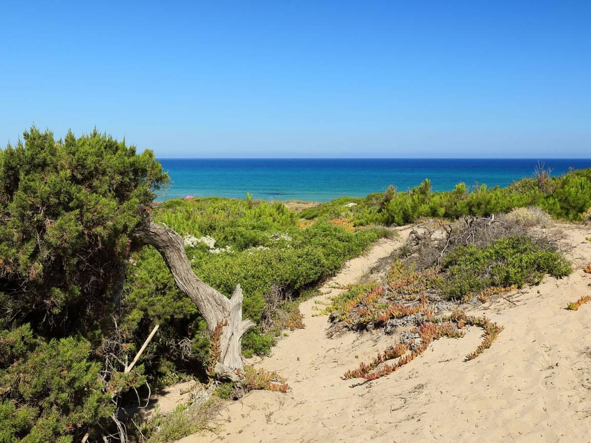 Baia delle Mimose in Badesi, Italië voor 6 personen foto 23