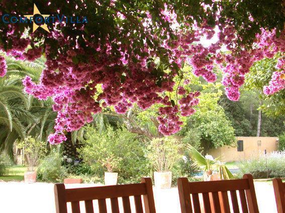 Villa Finca Violeta, vakantievilla in Begur, Spanje voor 10 personen foto 5