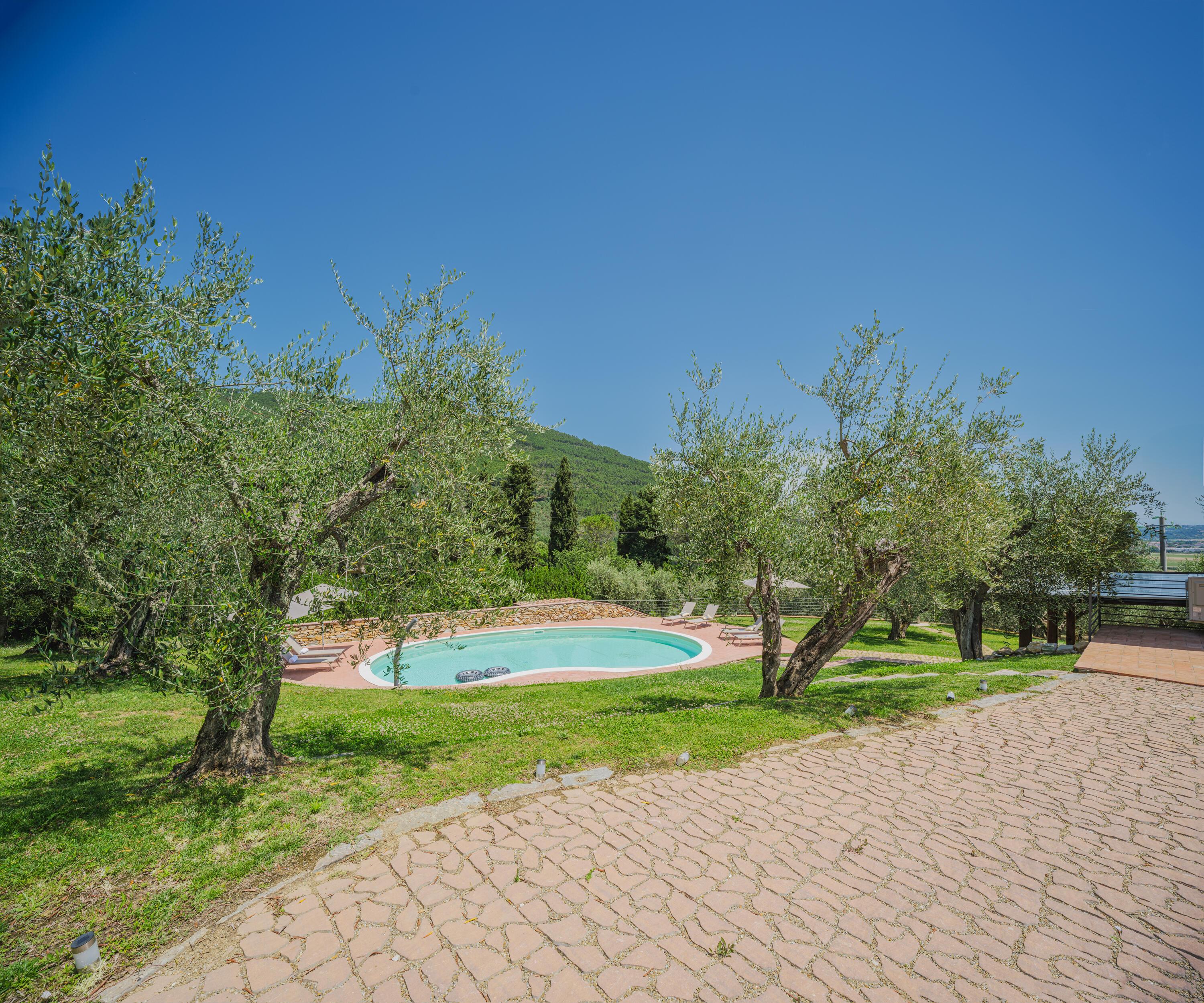 Casa degli Olivi di Dante in Italië voor 6 personen foto 34