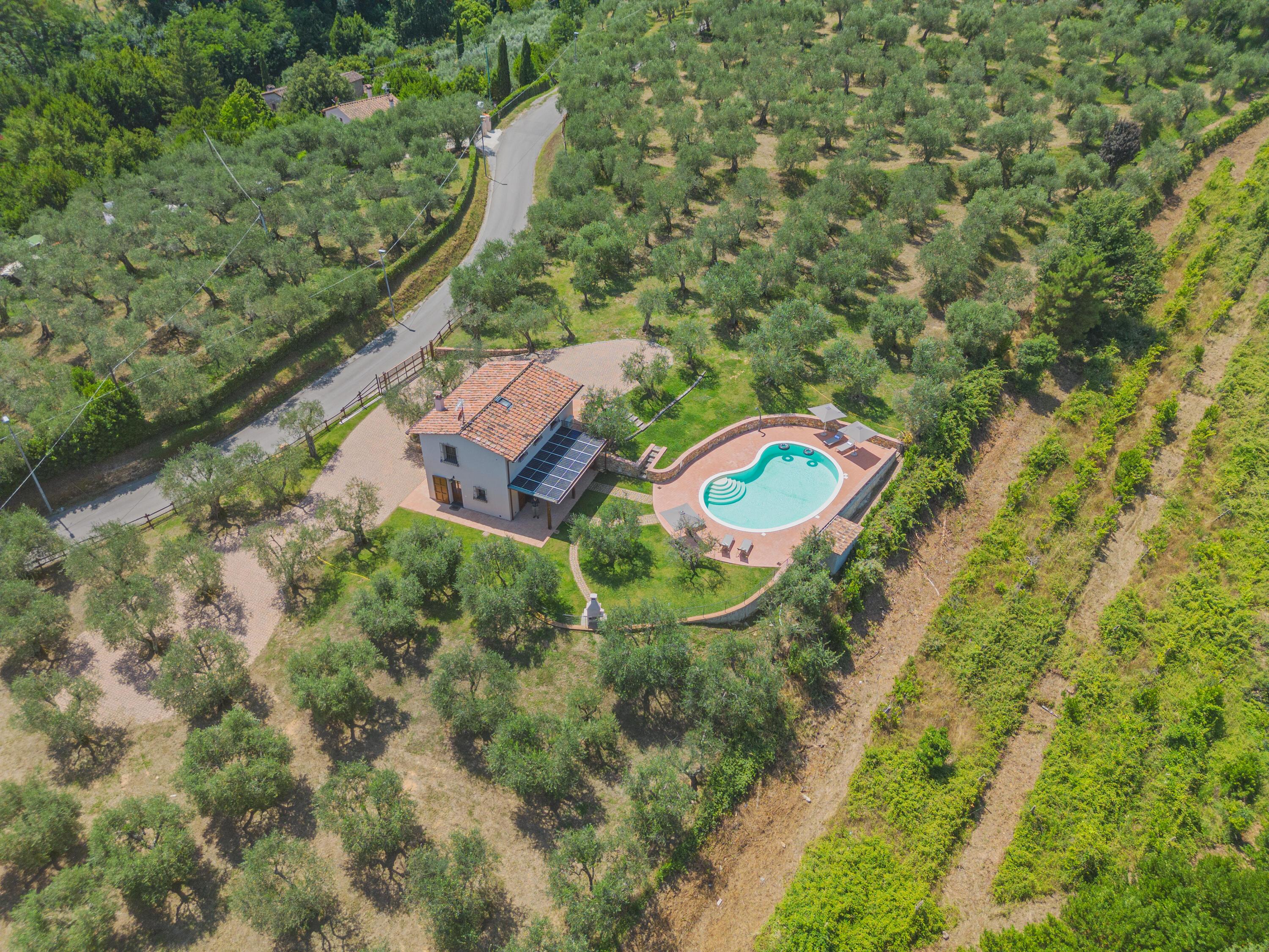 Casa degli Olivi di Dante in Italië voor 6 personen foto 11