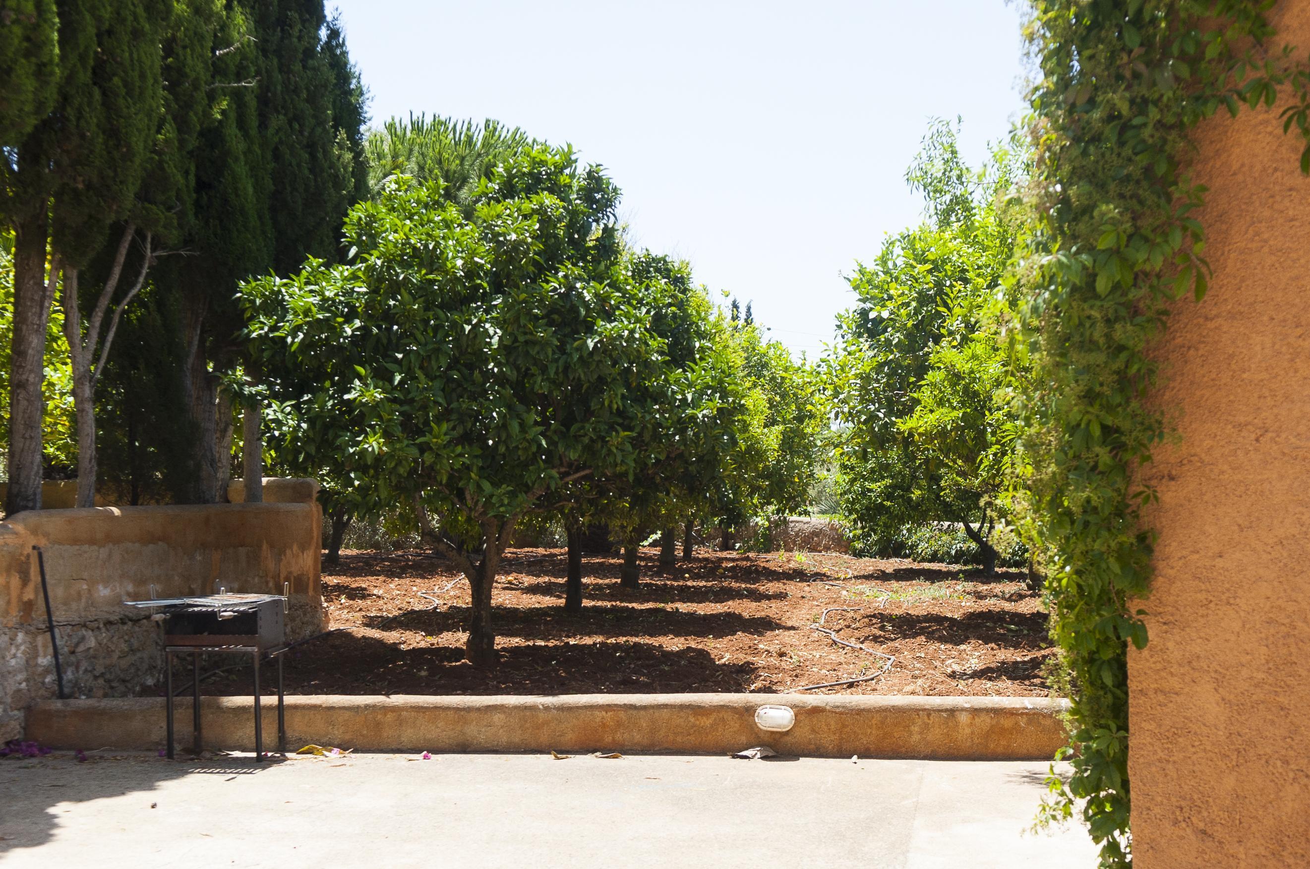 Casa Es Carritxo - Rustig gelegen finca met zwembad aan de oostkant in Cala D Or, Spanje voor 9 personen foto 14