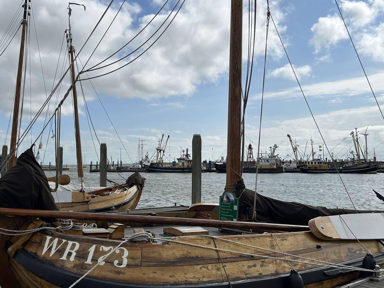 Vakantiehuis in IJsselmeer, Nederland voor 4 personen foto 11
