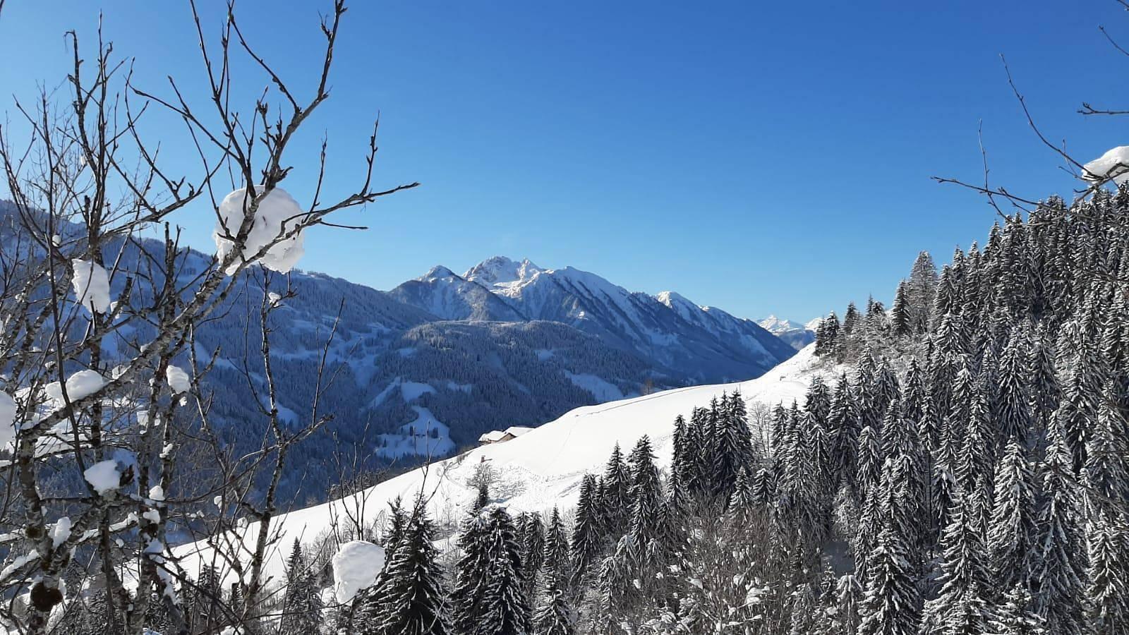 Hut, 5 kamers in Sankt Johann im Pongau, Ski Amadé, Oostenrijk voor 8 personen foto 23