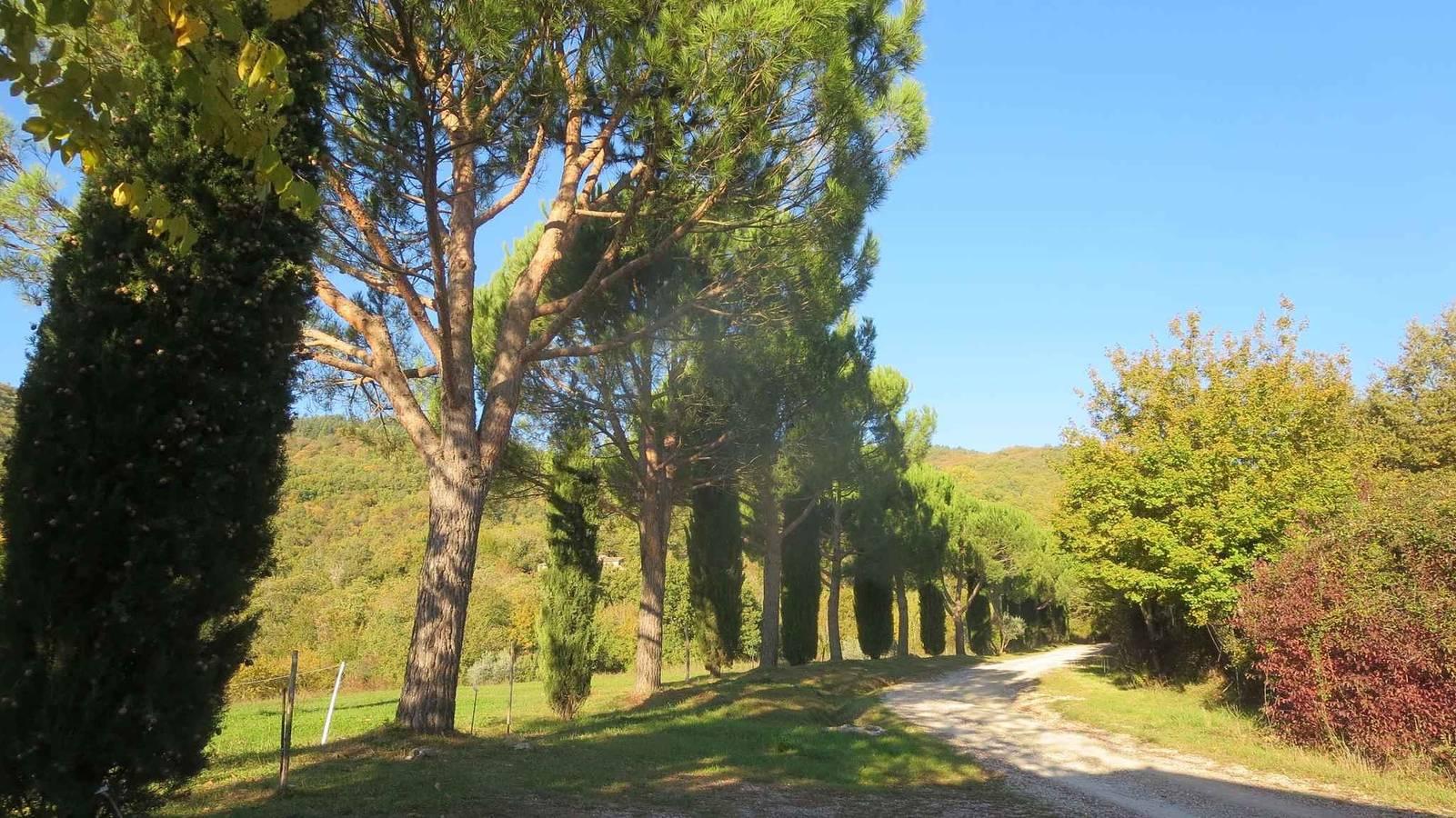 Vakantiewoning met ruim terras in Maremma, Italië voor 6 personen foto 20