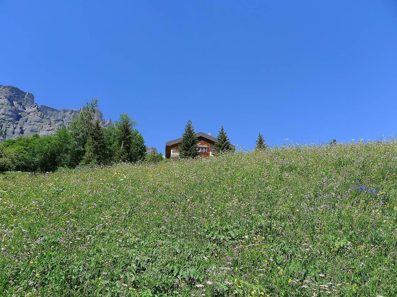 Vakantieappartement met hond toegestaan in Leukerbad, Wallis, Zwitserland voor 2 personen foto 14