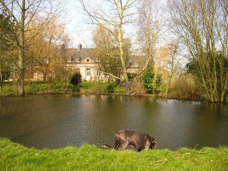 Vakantiehuis in Seine-Maritime, Frankrijk voor 15 personen foto 11
