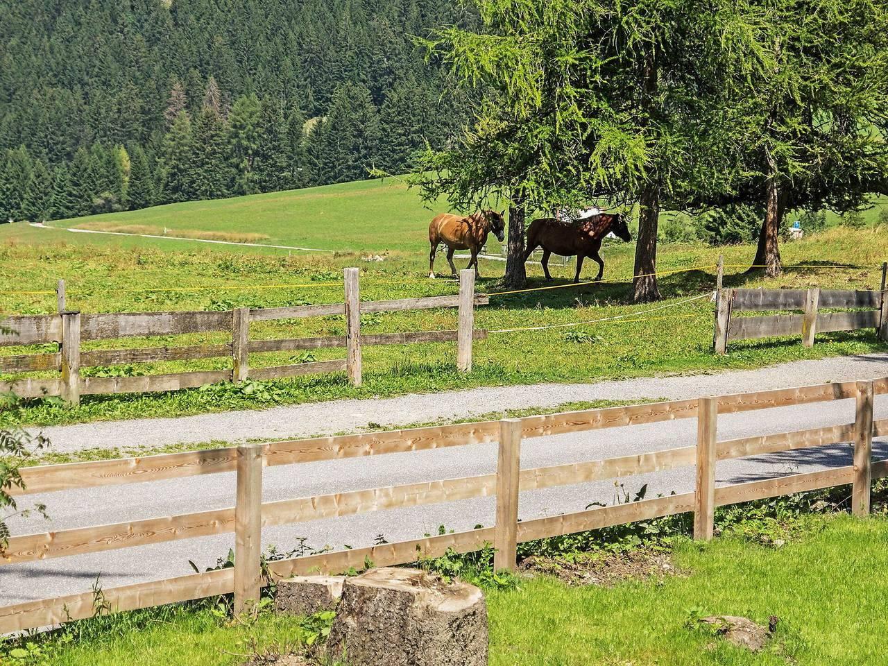 Vakantiehuis in Plessur, Zwitserland voor 10 personen foto 9