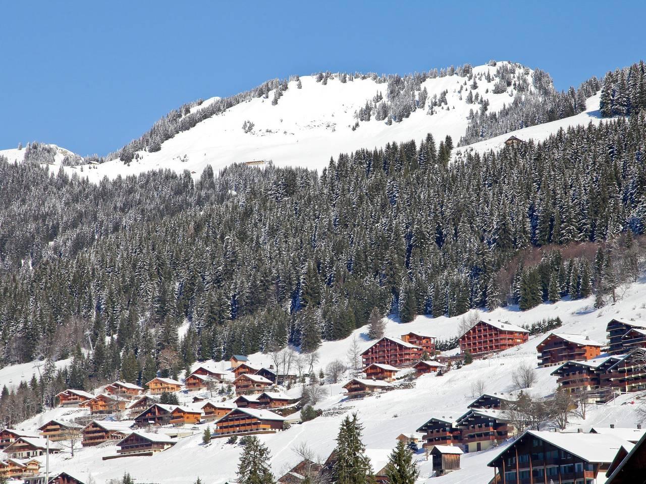 Chatel Ski Appartement Vlakbij Gondel in Châtel, Les Portes du Soleil, Frankrijk voor 4 personen foto 23