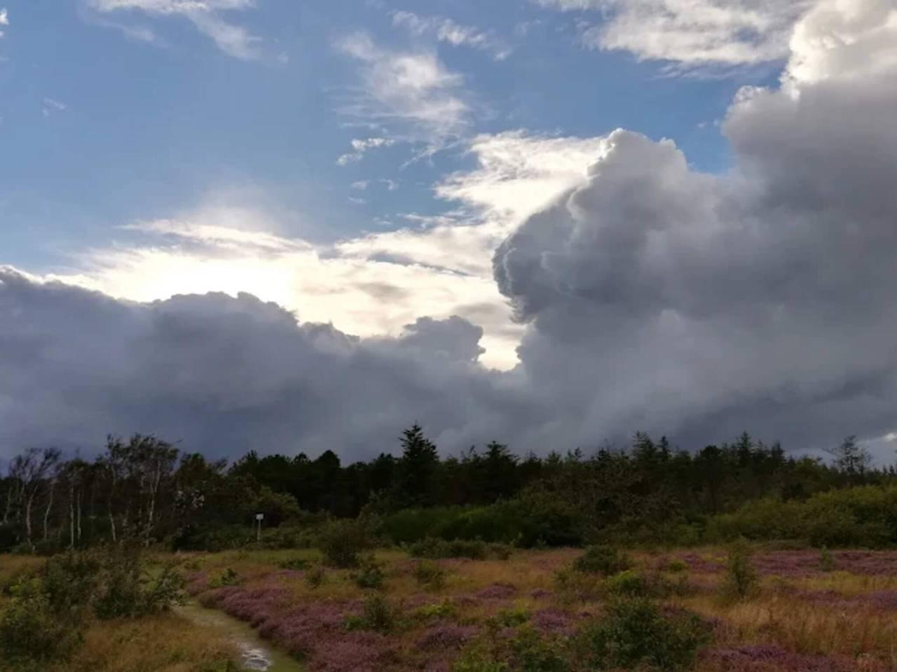 Vakantiehuis in Ålbæk, Denemarken voor 5 personen foto 4