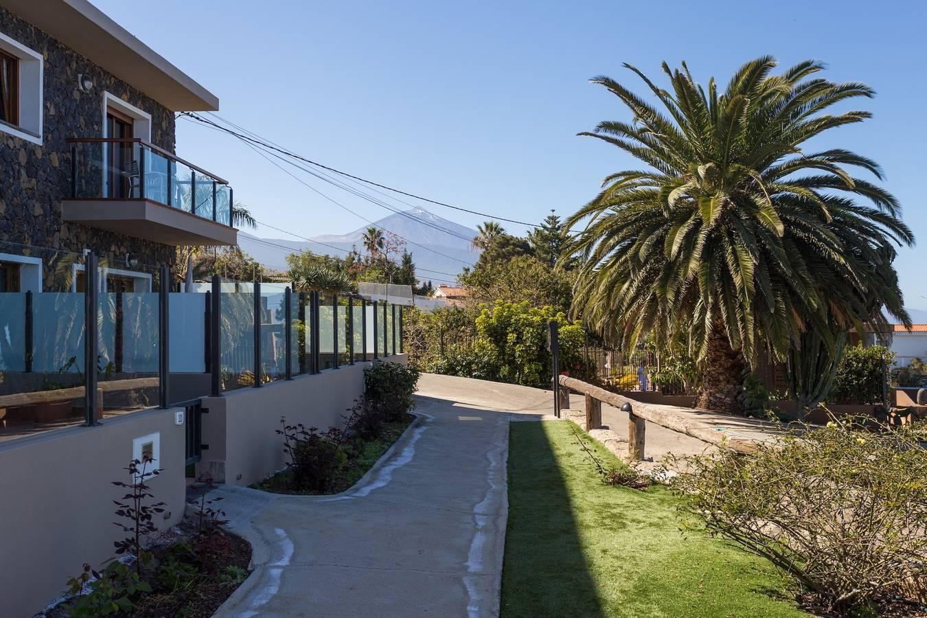 Vakantieappartement in Tenerife, Spanje voor 3 personen foto 2