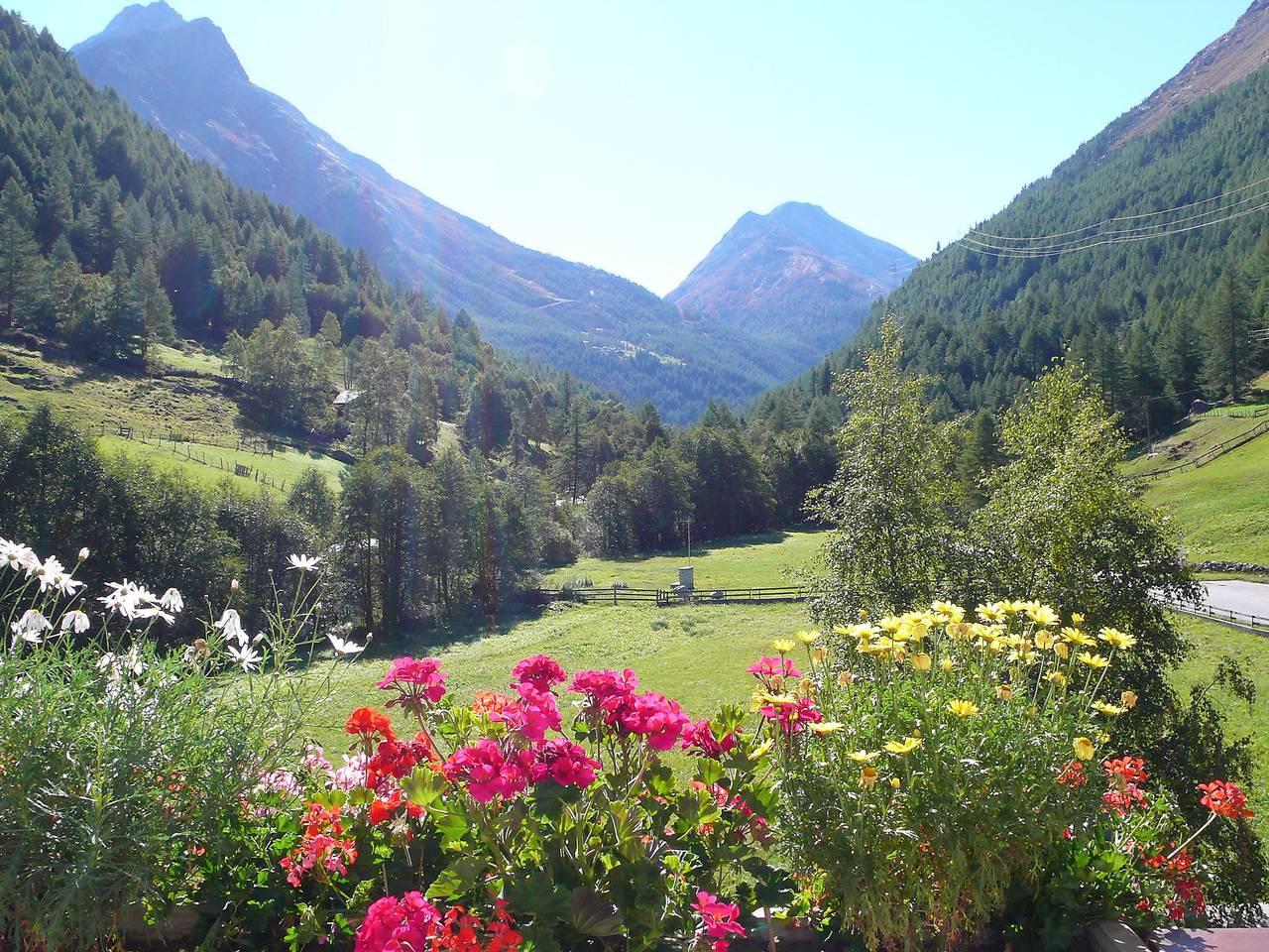 Vakantieappartement met speeltuin en hond toegestaan in Saas-Grund, Walliser Alpen, Zwitserland voor 6 personen foto 23
