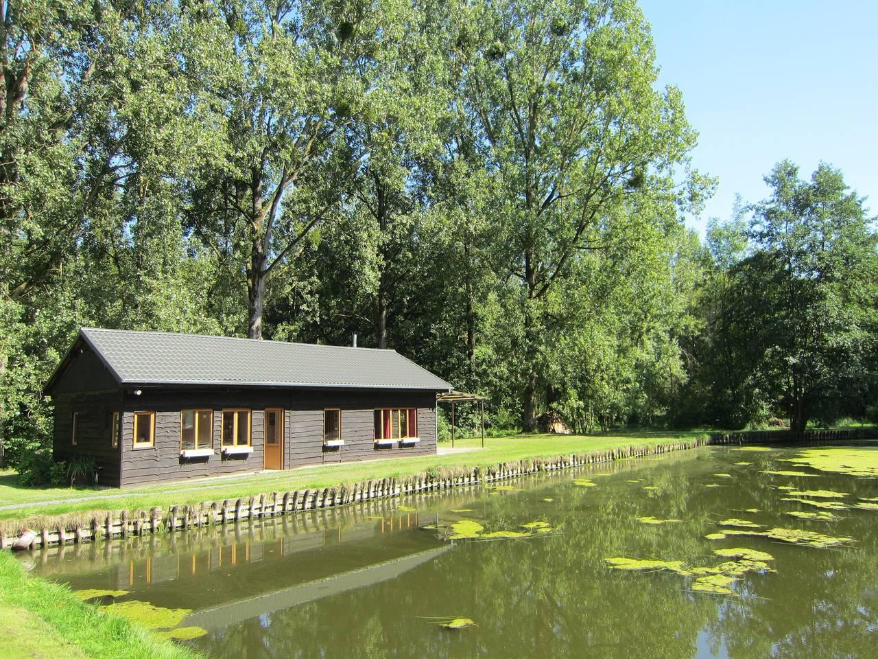Vakantiehuis in Ciney, België voor 4 personen