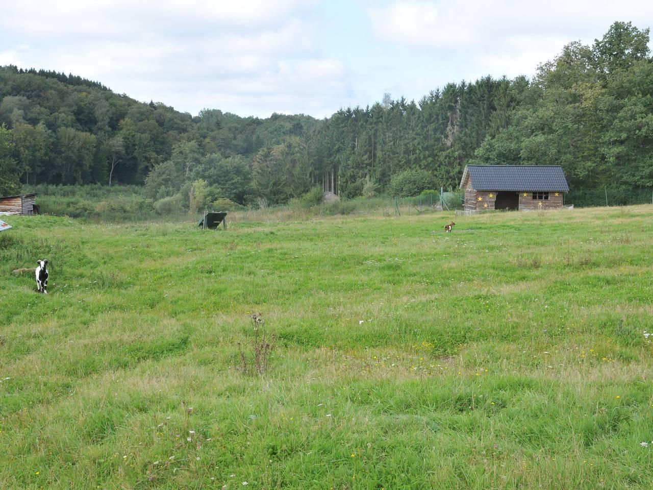 Chalet in België bij Ardennen in Somme-Leuze, België voor 6 personen foto 23