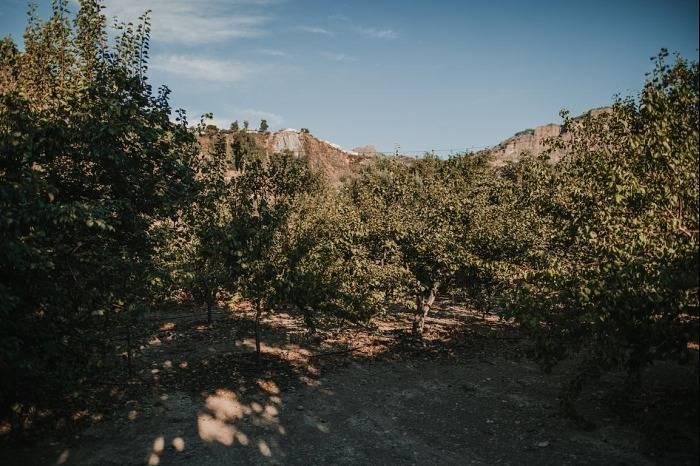Landhuis met tuin in Hoya de Tunte, San Bartolomé de Tirajana, Spanje voor 3 personen foto 21