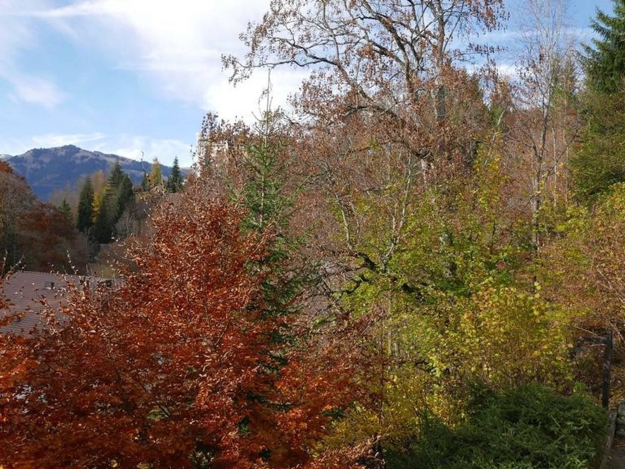 Vakantieappartement in Saanen, Zwitserland voor 9 personen foto 18
