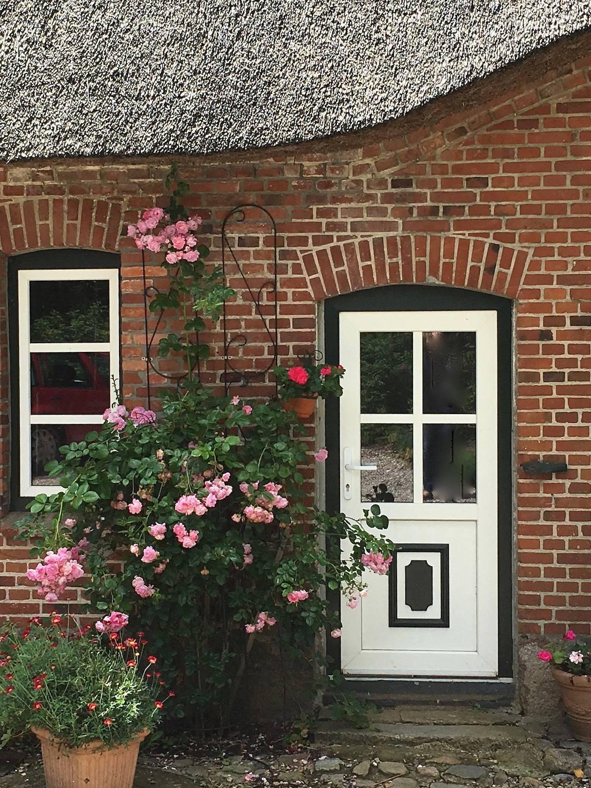Vakantieappartement in Wittensee, Duitsland voor 2 personen foto 14