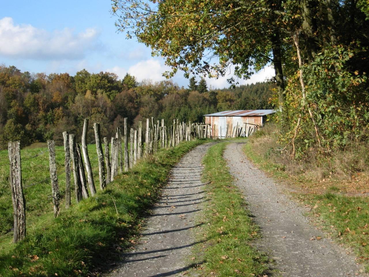 Vakantiehuis in Bastogne met Sauna & in Bastenaken, Parc naturel Haute-Sûre Forêt d'Anlier, België voor 8 personen foto 21