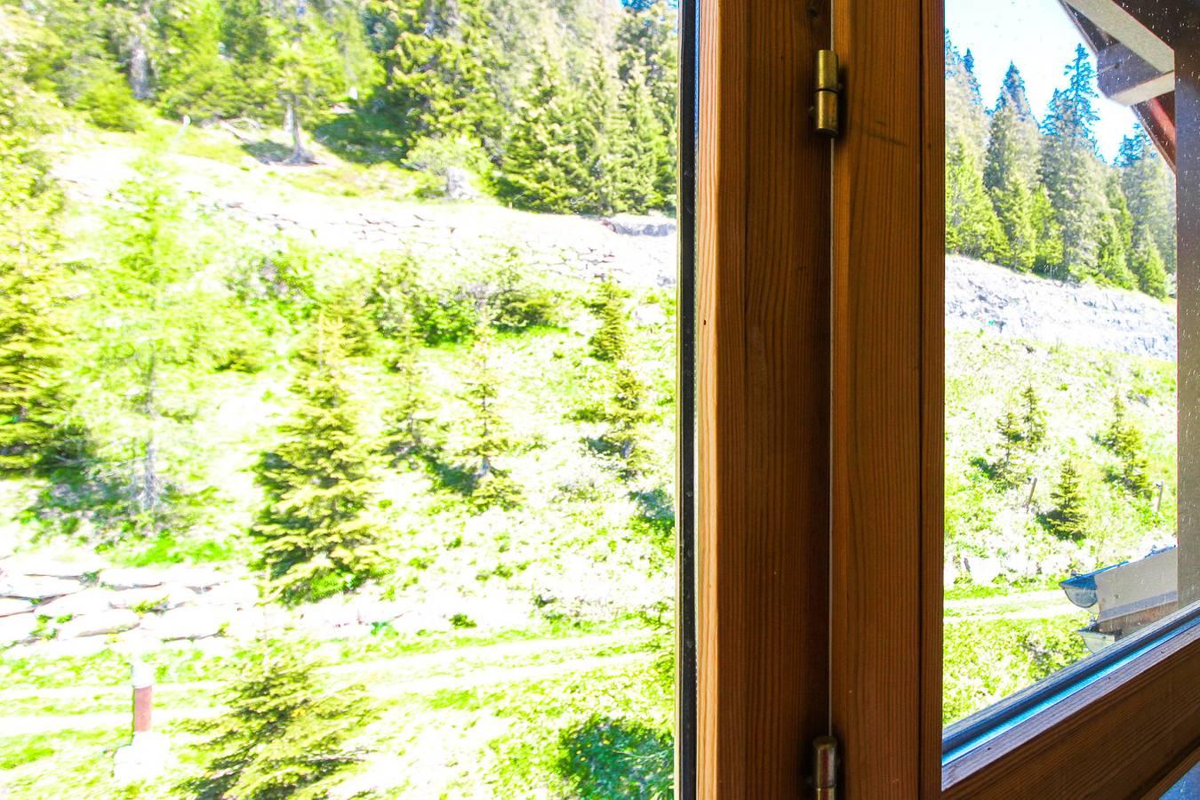 Vakantieappartement met zwembad en hond toegestaan in Rhône-Alpes, Frankrijk voor 6 personen foto 21