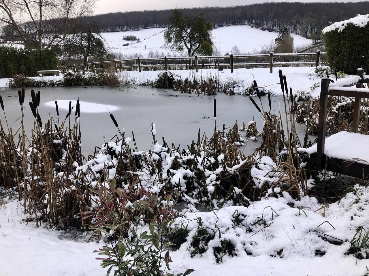 Gîtes de France® - Gîte du Vallon doré in Aubermesnil-aux-Érables, Frankrijk voor 4 personen foto 21