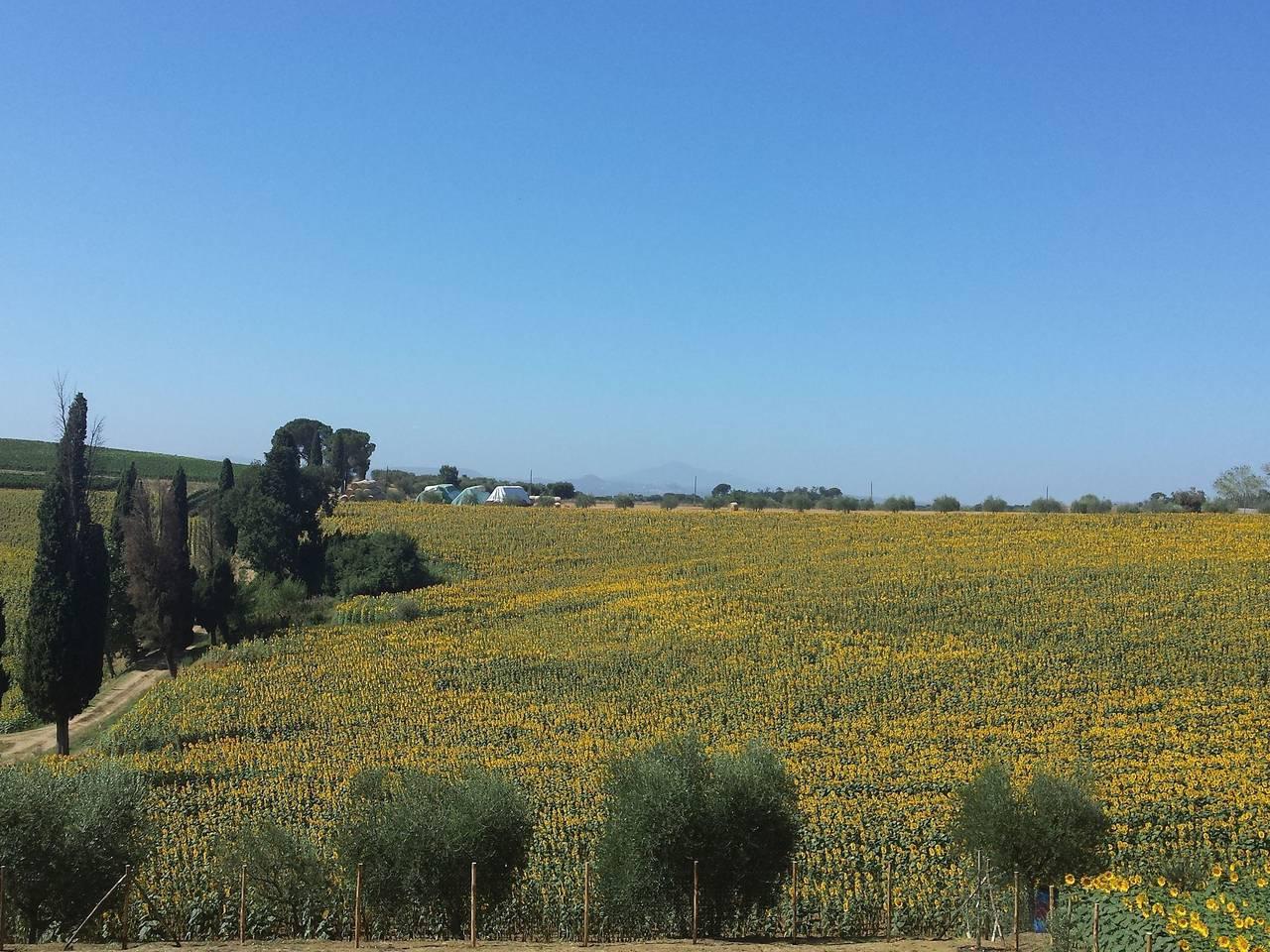 Vakantiehuis in Val di Chiana, Italië voor 8 personen foto 14