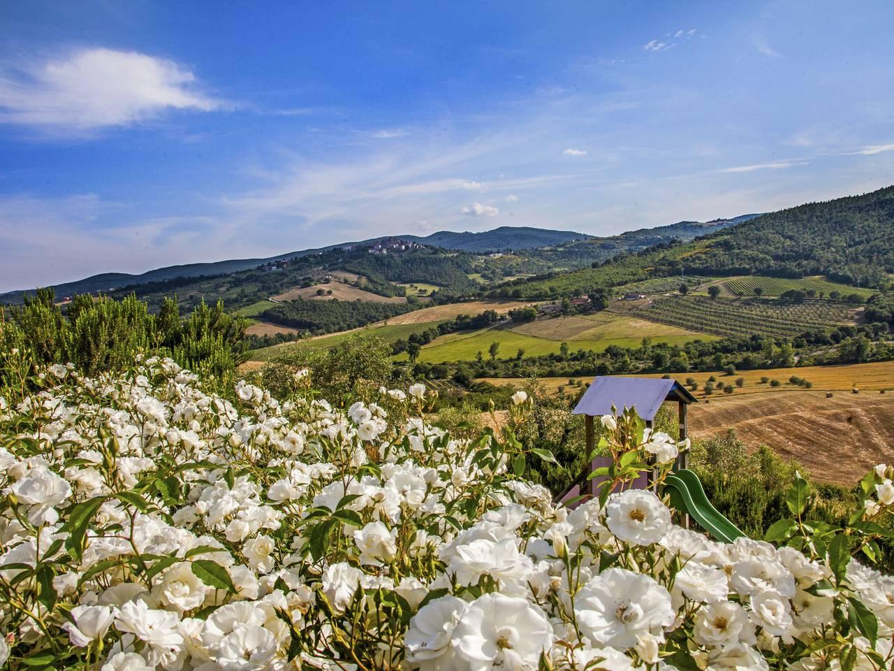 Allerona met 3 slaapkamers en zwembad in Allerona, Parco di Monte Peglia e Selva di Meana, Italië voor 6 personen foto 23