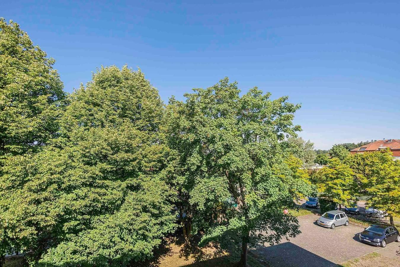 Vakantieappartement in Bodensee, Duitsland voor 4 personen foto 10