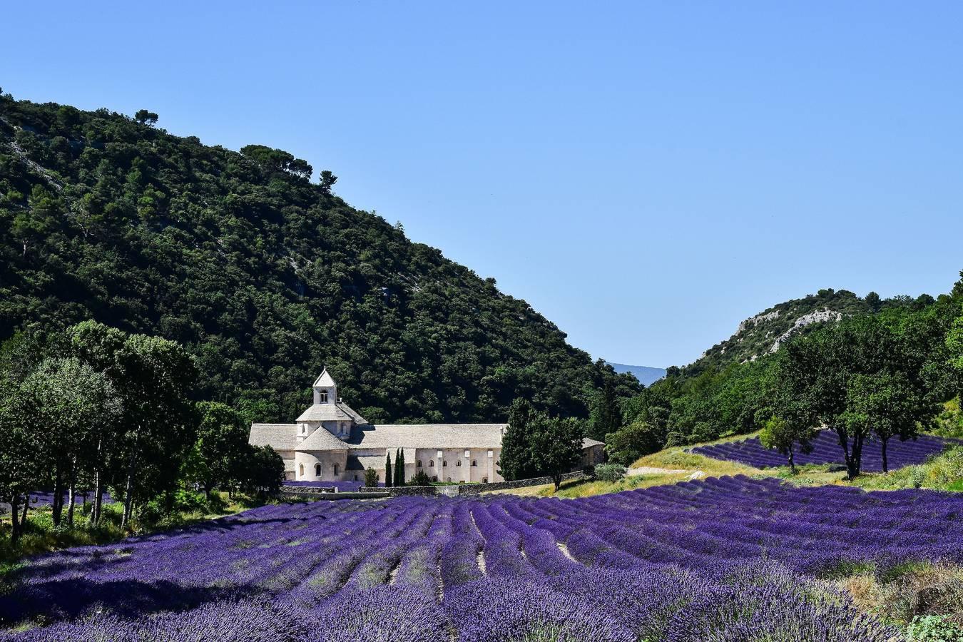 Domaine de Provence Country Club in Provence, Frankrijk voor 7 personen foto 21