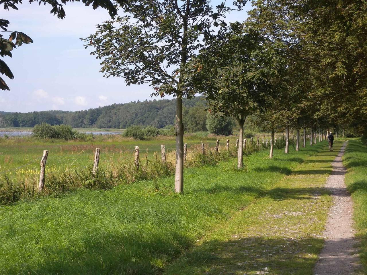 Vakantiehuis met terras en tuin in Bergen auf Rügen, Duitsland voor 3 personen foto 21