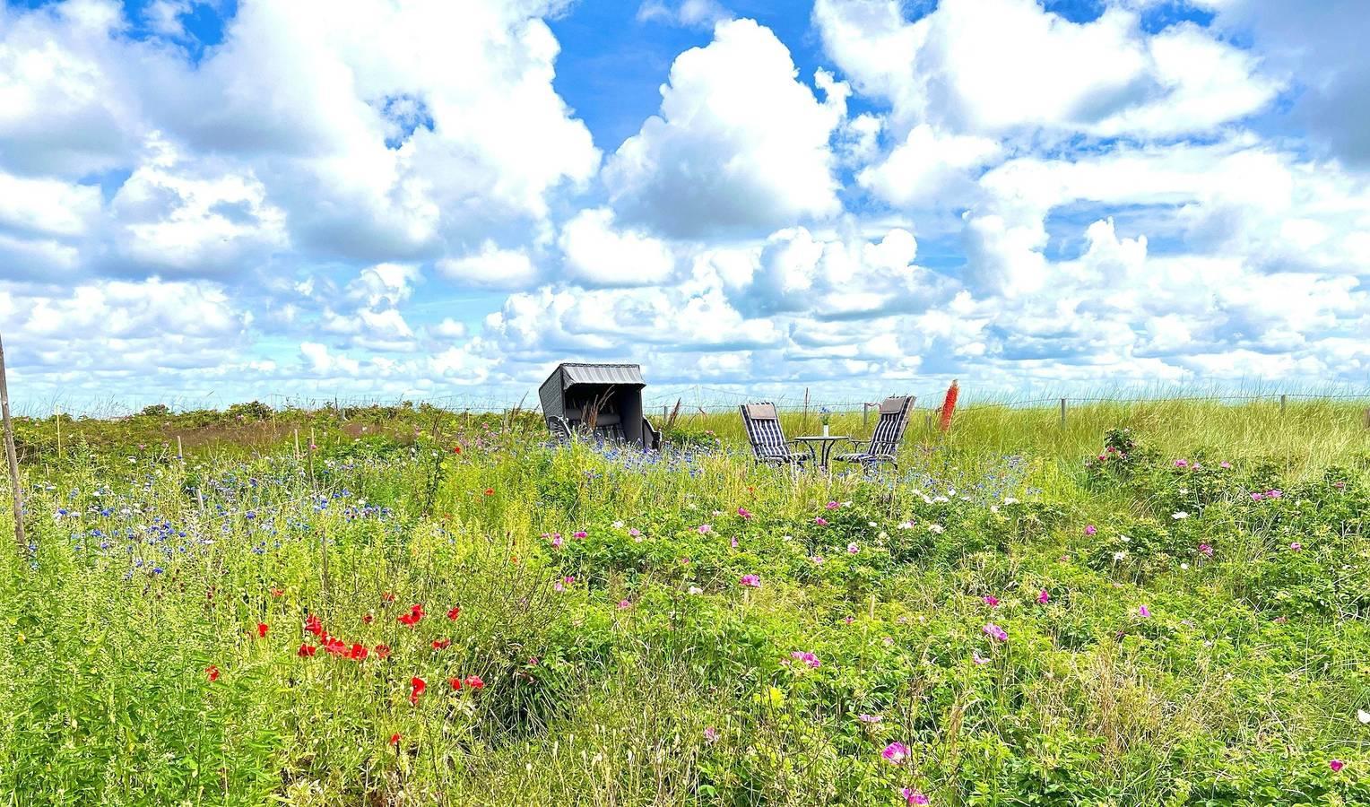 Vakantieappartement in Amrum, Duitsland voor 2 personen foto 7
