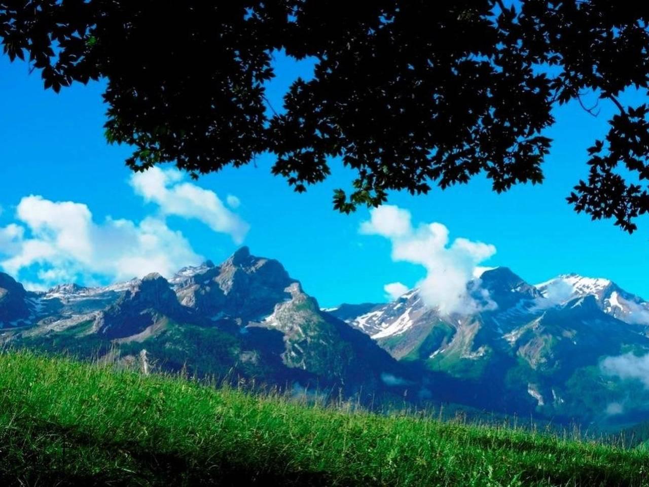 Vakantieappartement in Gsteig, Zwitserland voor 4 personen foto 7