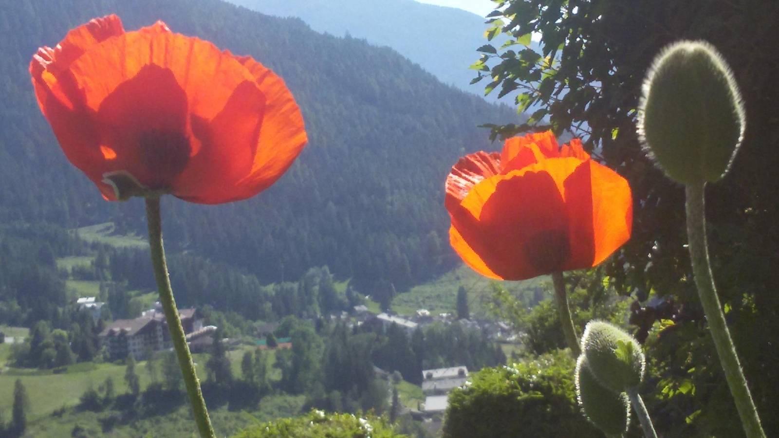 Vakantieappartement in Nockberge, Oostenrijk voor 2 personen foto 12