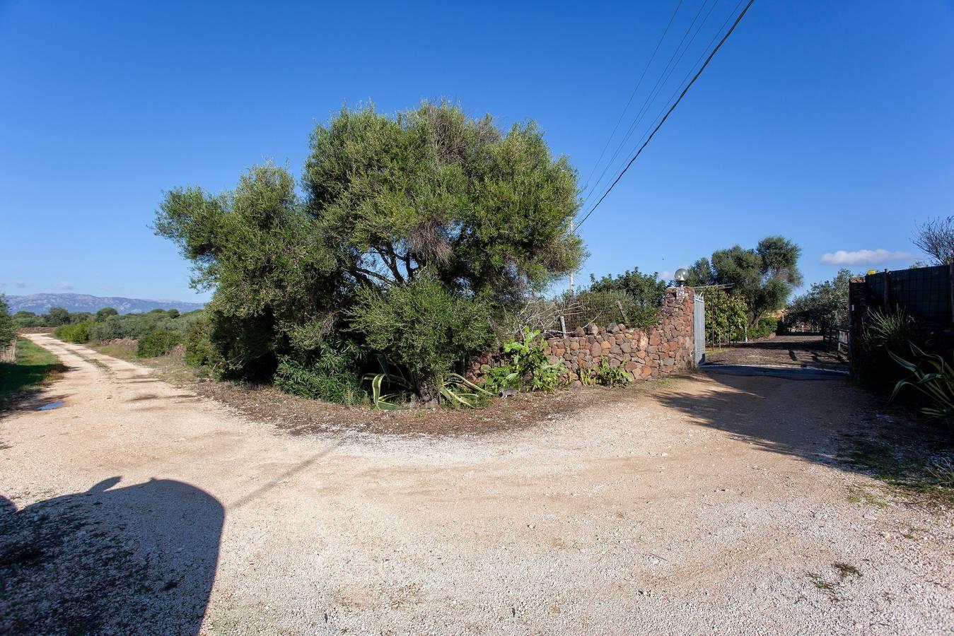 Huisdiervriendelijk vakantieappartement "A contatto con la natura in Orosei, Golf van Orosei, Italië voor 5 personen foto 25
