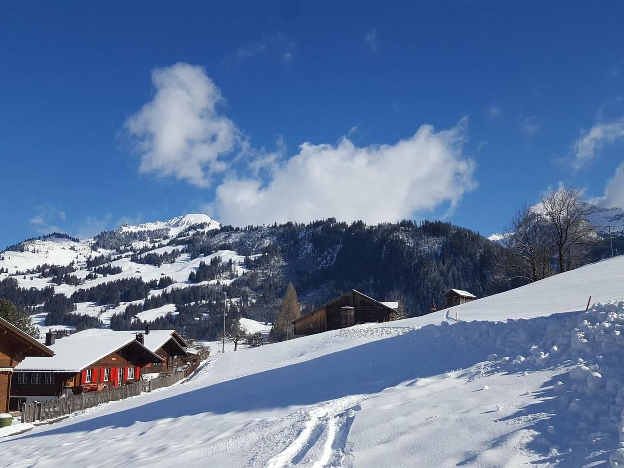Vakantieappartement in Zweisimmen, Zwitserland voor 7 personen foto 4