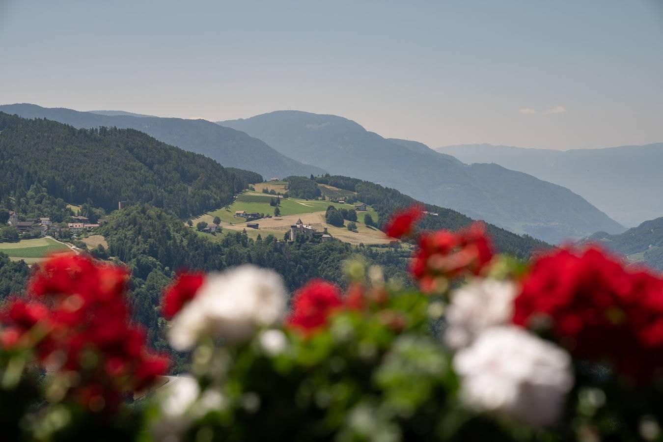 Vakantieappartement in Dolomieten, Italië voor 6 personen foto 10