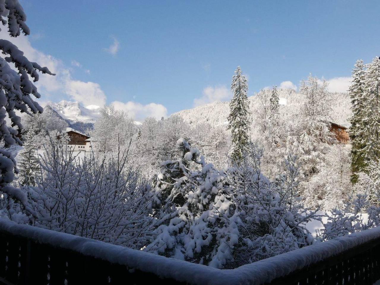 Vakantieappartement in Saanen, Zwitserland voor 9 personen foto 16
