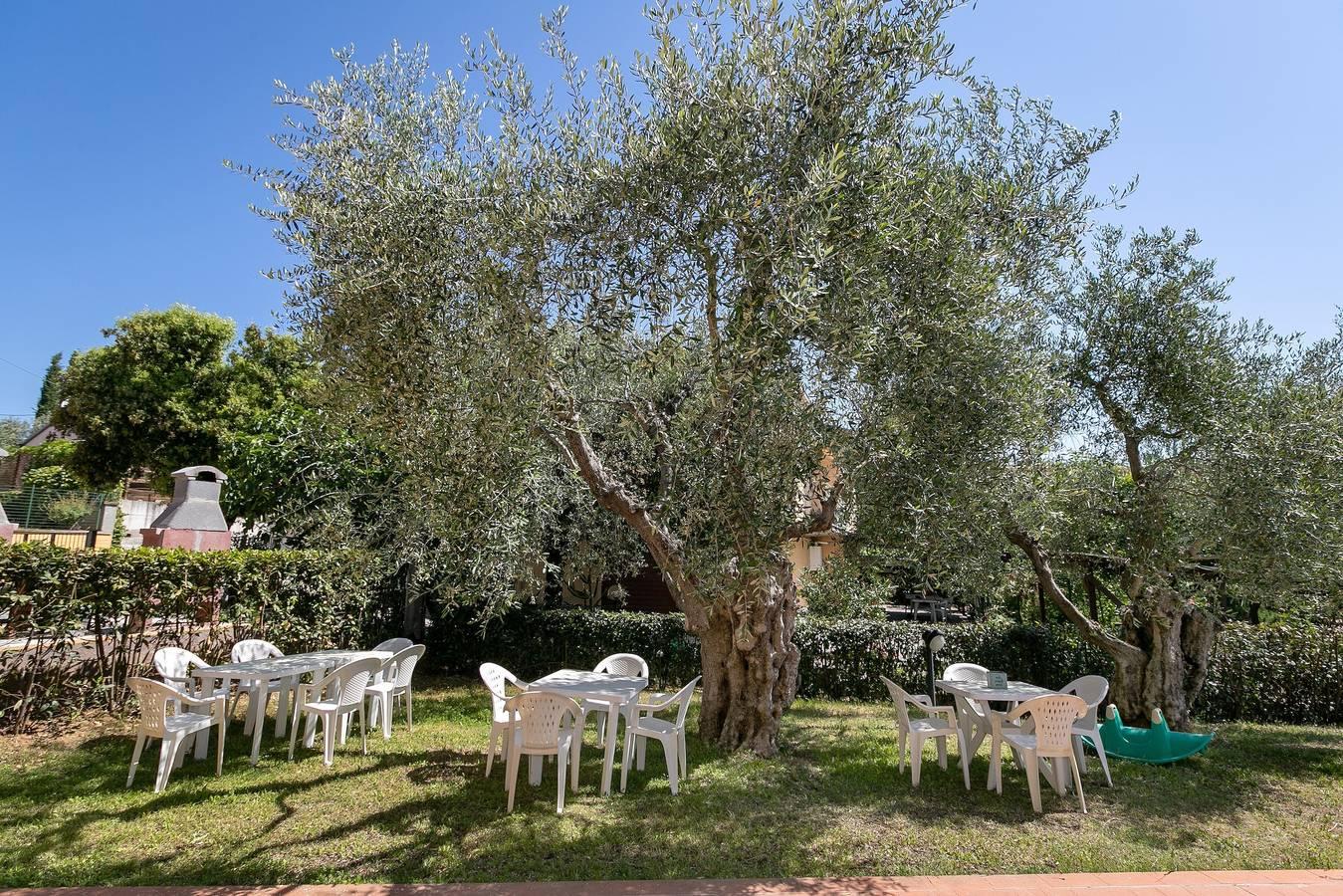 Appartement "Trilocale Coratina" met Terras, Gedeeld Zwembad & in Suvereto, Etruskische kust, Italië voor 4 personen foto 22