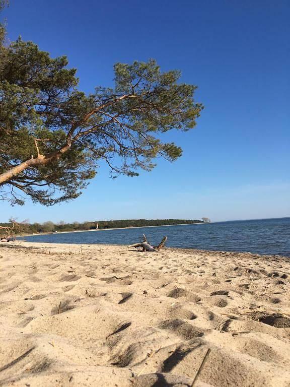 Vakantiehuis met sauna en hond toegestaan in Schiereiland Zudar, Garz/Rügen, Duitsland voor 6 personen foto 21