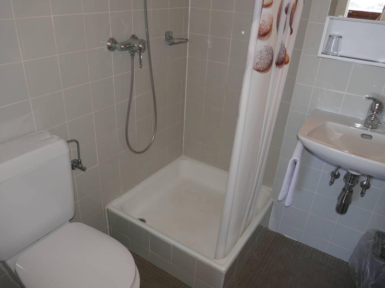 Rosablanche met 1 slaapkamer en sauna in Sornard (Nendaz), Nendaz, Zwitserland voor 4 personen foto 12