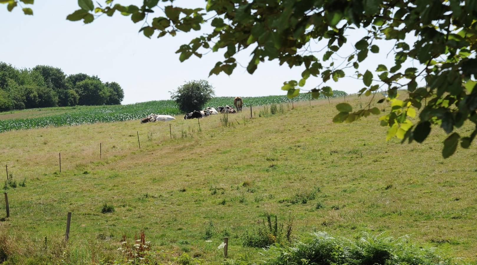 Gîtes de France® - La Métairie in Le Hanouard, Frankrijk voor 6 personen foto 24