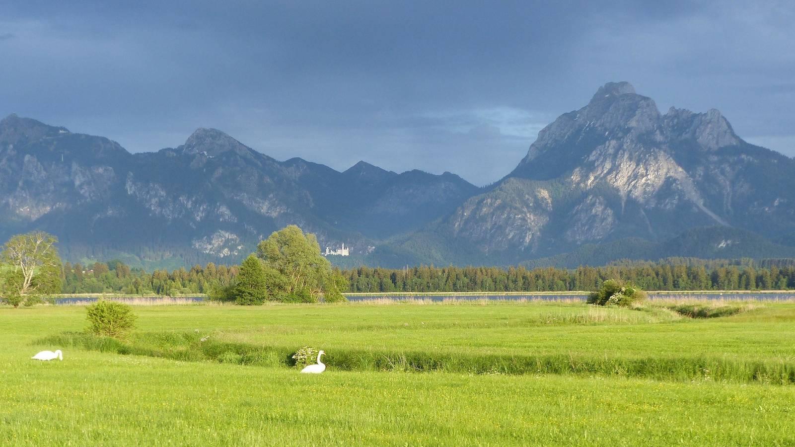 Vakantieappartement in Zwaben, Duitsland voor 5 personen foto 9