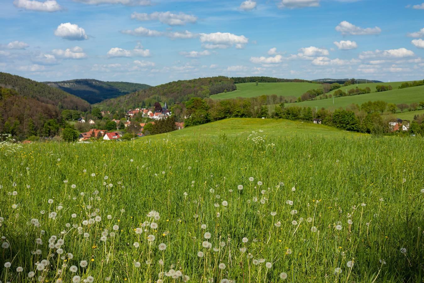 Vakantiehuis in Thüringer Woud, Duitsland voor 4 personen foto 15