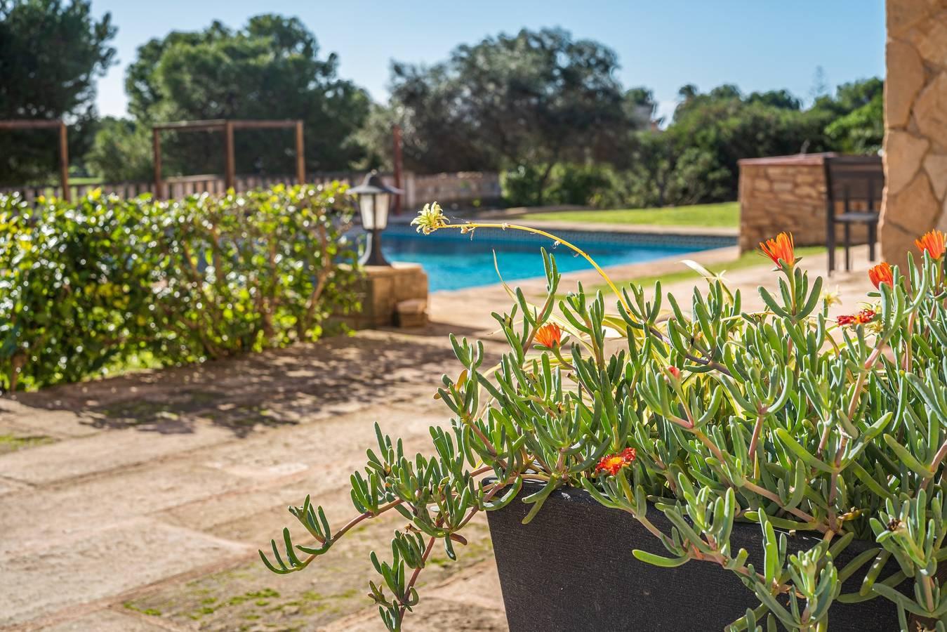 Vakantieappartement Es Turo de Mallorca met Zwembad, Wi-Fi in Ses Salines, Kust van Mallorca, Spanje voor 2 personen foto 20