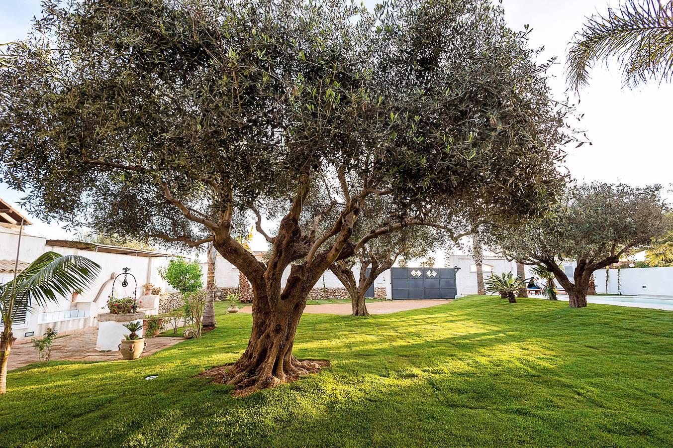 Vakantieappartement in Marsala, Italië voor 5 personen foto 12