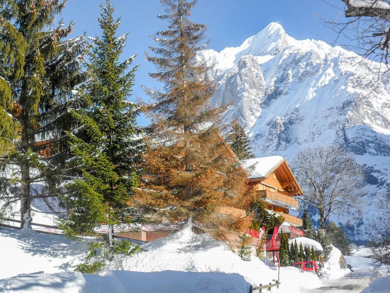 Firstsunne in Schwendi b. Grindelwald, Grindelwald, Zwitserland voor 4 personen foto 20